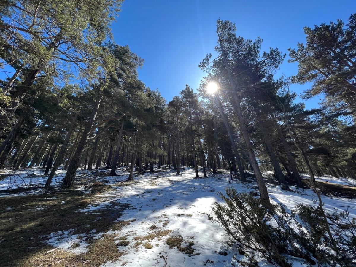 Precioso Apartamento En La Molina La Molina  Dış mekan fotoğraf